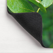 Blueberry Bush Mousepad (Ecke)