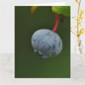 Blueberry Card Karte (Gelbe Blume)