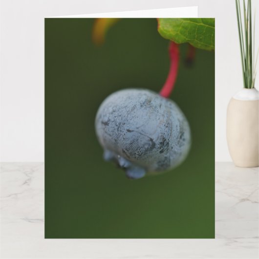 Blueberry Card Karte (Vorderseite)