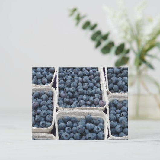 Blueberry Crates Postkarte (Stehend Vorderseite)