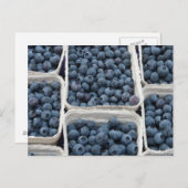 Blueberry Crates Postkarte (Vorne/Hinten)