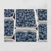 Blueberry Crates Postkarte (Vorderseite)