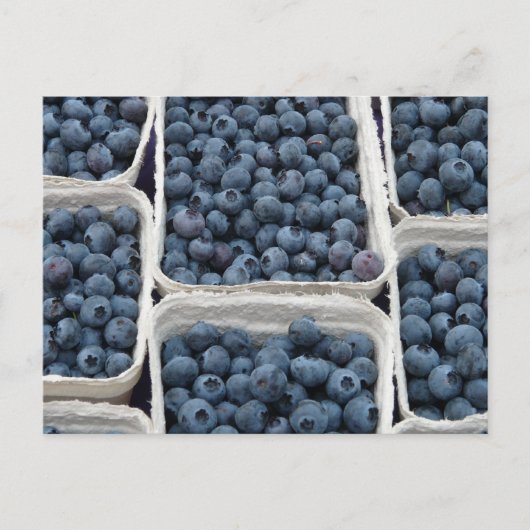 Blueberry Crates Postkarte (Vorderseite)
