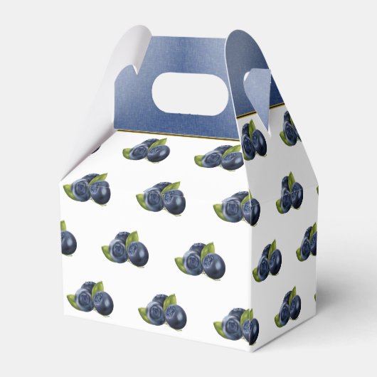Blueberry Fruchtkonservierung Geschenkschachtel (Rückseite)