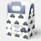 Blueberry Fruchtkonservierung Geschenkschachtel (Geöffnet)