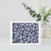 blueberry fruits, photo taken in a blueberry farm postkarte (Stehend Vorderseite)