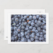 blueberry fruits, photo taken in a blueberry farm postkarte (Vorne/Hinten)
