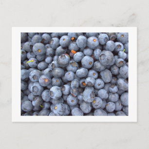 blueberry fruits, photo taken in a blueberry farm postkarte