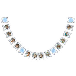 Blueberry Geburtstag 12 Monate Foto Milestone Wimpelkette