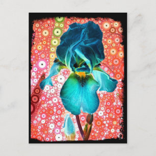 Blueberry Iris Postcard Postkarte