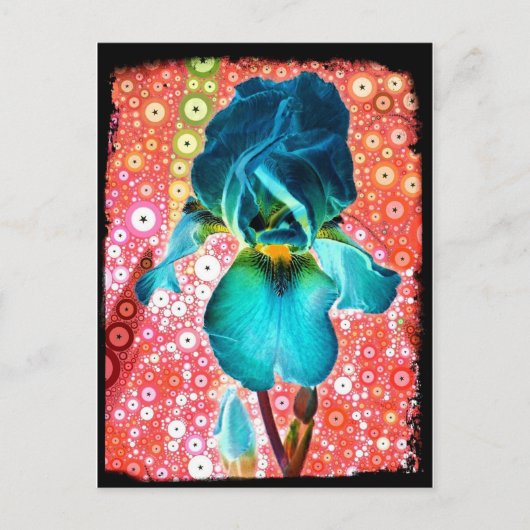 Blueberry Iris Postcard Postkarte (Vorderseite)