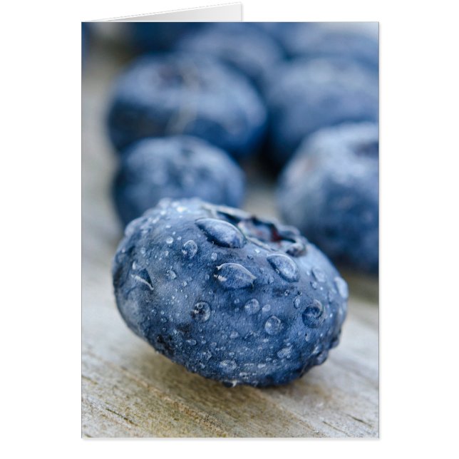 Blueberry Macro (Vorne)