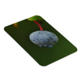 Blueberry Magnet (Rechte Seite)