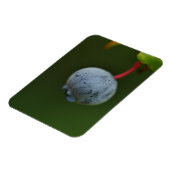 Blueberry Magnet (Linke Seite)