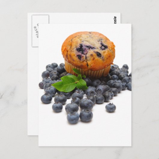 Blueberry Muffin Postkarte (Vorne/Hinten)