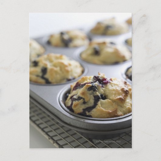Blueberry Muffins in einer Backdose auf einer Kühl Postkarte (Vorderseite)