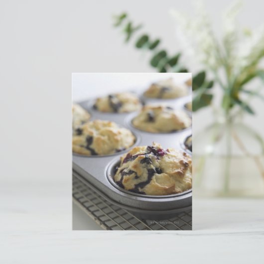 Blueberry Muffins in einer Backdose auf einer Kühl Postkarte (Stehend Vorderseite)