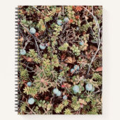 Blueberry Notizblock (Vorderseite)