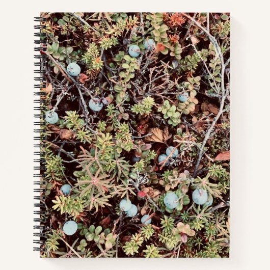 Blueberry Notizblock (Vorderseite)