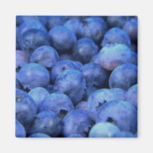 blueberry pile magnet