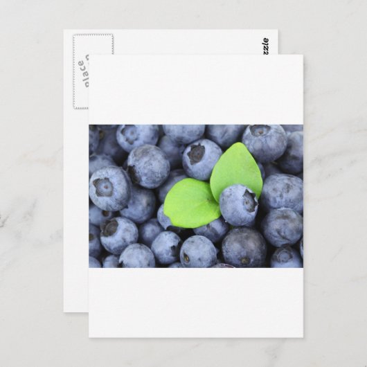 BLUEBERRY POSTKARTE (Vorne/Hinten)
