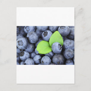 BLUEBERRY POSTKARTE