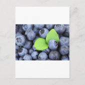 BLUEBERRY POSTKARTE (Vorderseite)