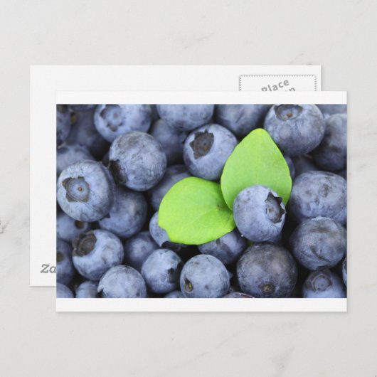 BLUEBERRY POSTKARTE (Vorne/Hinten)