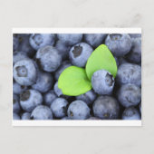 BLUEBERRY POSTKARTE (Vorderseite)