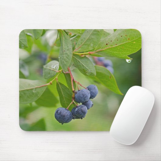 Blueberry Rain Mousepad (Mit Mouse)