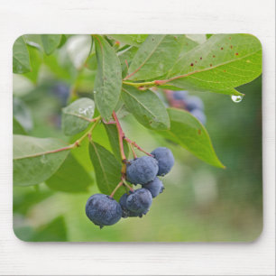 Blueberry Rain Mousepad