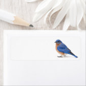 Bluebird (Insitu)