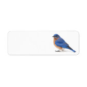 Bluebird (Vorne)