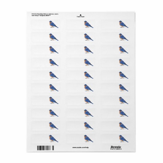 Bluebird (Vorne)
