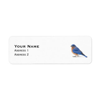 Bluebird