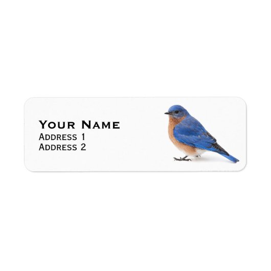 Bluebird (Vorne)