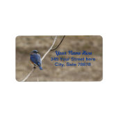 Bluebird Address Labels Adressaufkleber (Vorne)