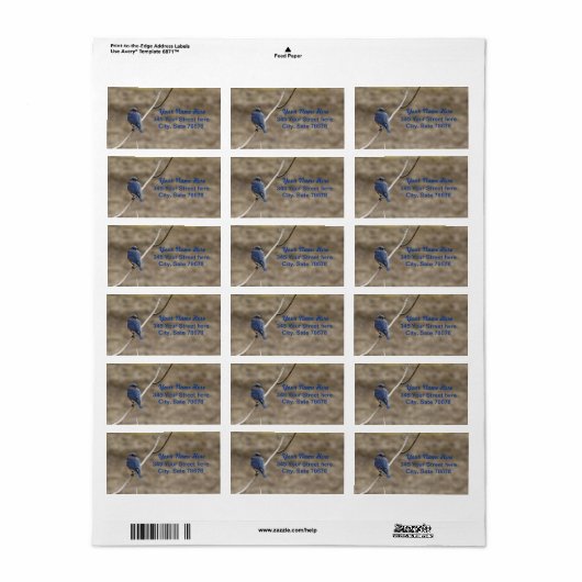 Bluebird Address Labels Adressaufkleber (Vorne)