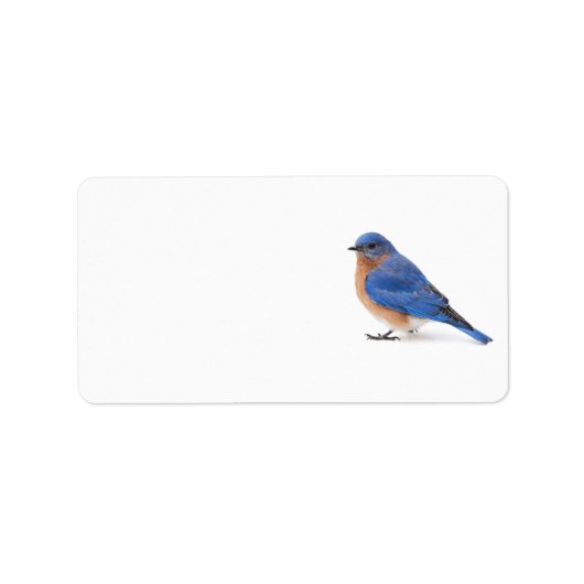 Bluebird Adressaufkleber (Vorne)