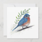 Bluebird Art Bird Card Karte (Vorderseite)