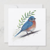 Bluebird Art Bird Card Karte (Vorderseite)