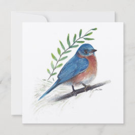 Bluebird Art Bird Card Karte