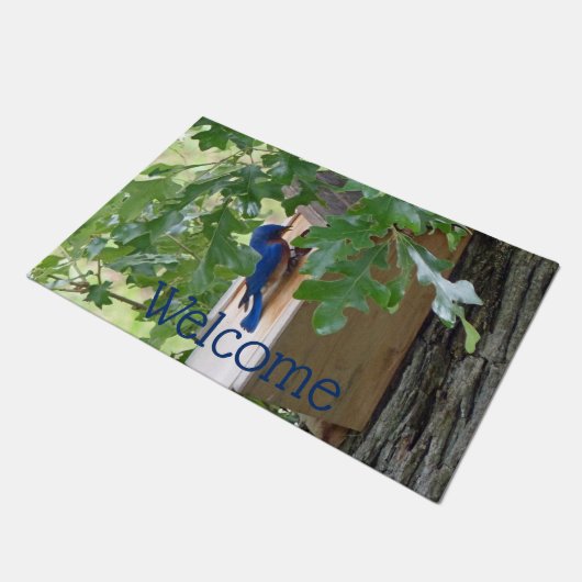 Bluebird at Home Fußmatte (Schrägansicht)