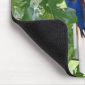 Bluebird at Home Mousepad (Ecke)