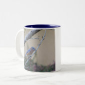Bluebird auf Branch Eastern Bluebird Liebhaber Zweifarbige Tasse (Vorderseite Links)