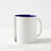 Bluebird auf Branch Eastern Bluebird Liebhaber Zweifarbige Tasse (VorderseiteRechts)