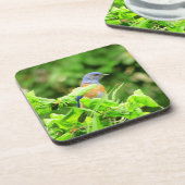 Bluebird auf Corkschraube Bush Getränkeuntersetzer (Linke Seite)