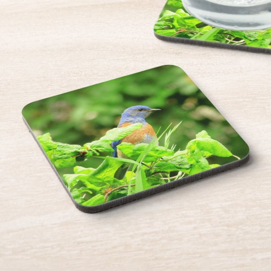 Bluebird auf Corkschraube Bush Getränkeuntersetzer (Linke Seite)