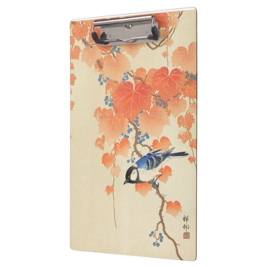 Bluebird auf einem Paulownia Tree Klemmbrett (Links)