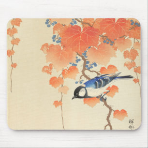 Bluebird auf einem Paulownia Tree Mousepad